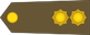 Lieutenant en premier insignia