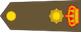 Major insignia