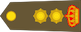 Lieutenant-colonel insignia