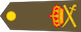 Général insignia