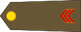 Premier soldat-chef insignia
