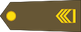 Adjudant insignia