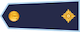 Majors insignia