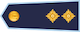 Pulkvežleitnants insignia