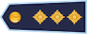 Pulkvedis insignia