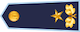 Brigādes ģenerālis insignia