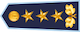 Ģenerālleitnants insignia