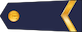 Dižkareivis insignia