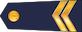 Kaprālis insignia
