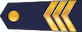 Seržants insignia