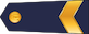 Virsseržants insignia