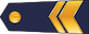 Štāba virsseržants insignia