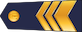 Galvenais virsseržants insignia