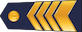 Augstākais virsseržants insignia