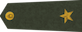 Leitnants insignia