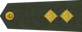 Pulkvež­leitnants insignia