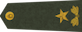 Brigādes ģenerālis insignia