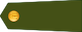 Kareivis insignia