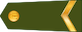 Dižkareivis insignia