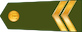 Kaprālis insignia