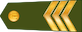 Seržants insignia