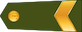 Virsseržants insignia