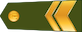 Štāba virsseržants insignia