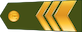 Galvenais virsseržants insignia