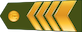 Augstākais virsseržants insignia