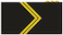 Kaprālis insignia