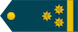 Полковник Polkovnik insignia