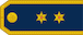 Poručnik insignia