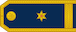 Major insignia
