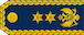General major insignia