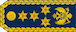 General pukovnik insignia