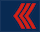 Mlađi vodnik insignia