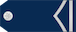 Vodnik insignia