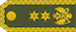 General major insignia