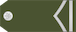 Vodnik insignia