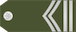 Stariji vodnik 1 klase insignia