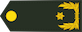 Brigadegeneraal insignia