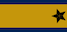 Brigader insignia