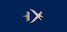 Flysoldat insignia