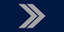Ledende spesialist insignia