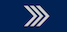 Sersjant insignia
