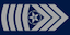 Sjefssersjant insignia