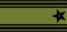 Major insignia