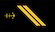 Senior visekonstabel insignia