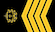 Sjefsmester insignia
