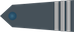 Starszy kapral insignia